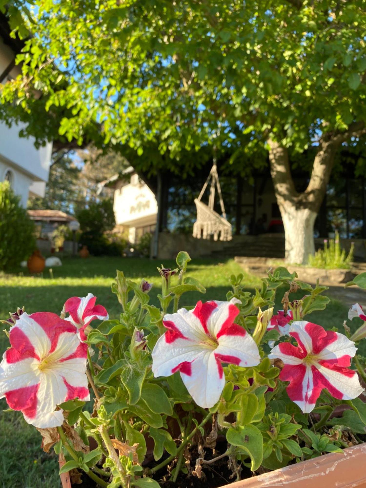 Guest House Debar Arbanasi Esterno foto